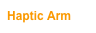 Haptic Arm